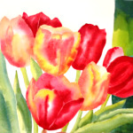 Open to the Public Event - Spring Tulips